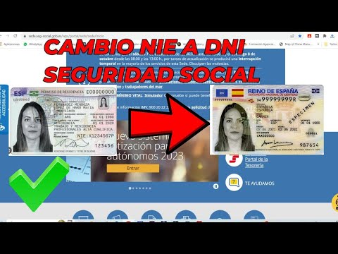 Cómo actualizar los datos de la Seguridad Social en España