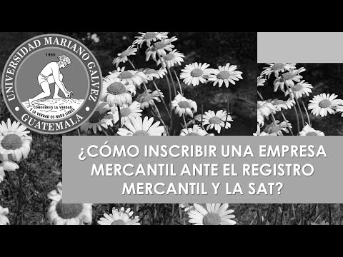 Cómo inscribir una empresa en el Registro Mercantil: guía práctica