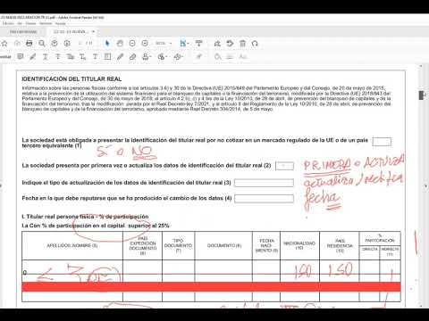 Acta de titularidad real de sociedad unipersonal en España