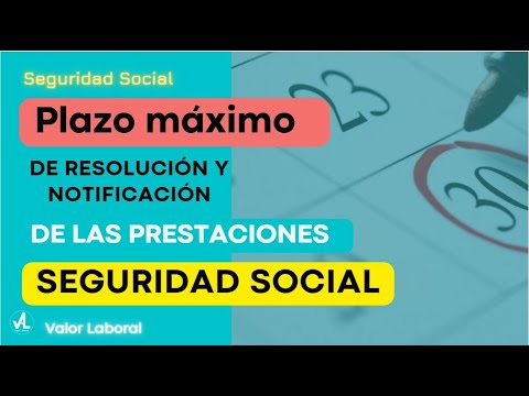 ¿Cuánto tarda una resolución de la Seguridad Social?