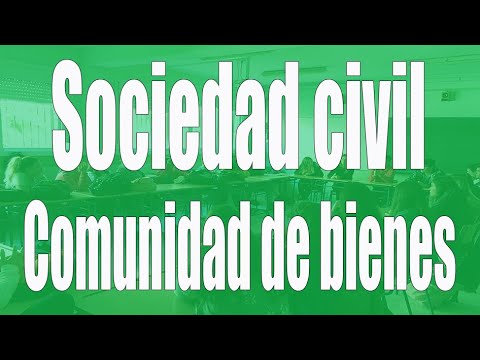 La Comunidad de Bienes y el Registro Mercantil