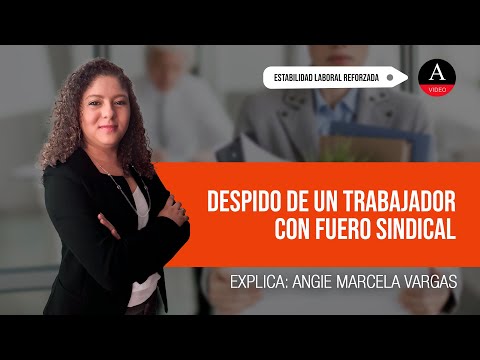 ¿Se puede despedir a un delegado sindical por causas objetivas?