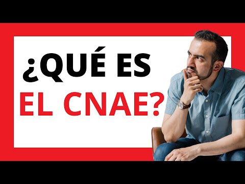 ¿Cómo saber qué CNAE tengo en la Seguridad Social?