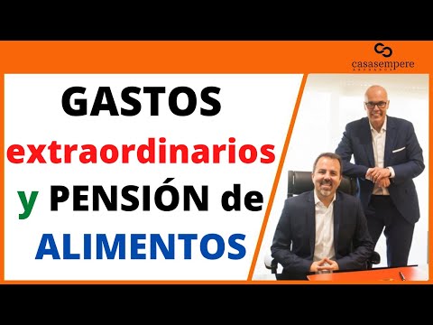 ¿En qué casilla se pone la pensión alimenticia?