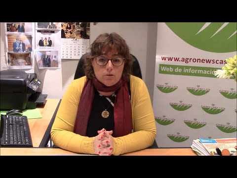 Contrato no firmado en todas sus hojas: ¿qué consecuencias tiene?