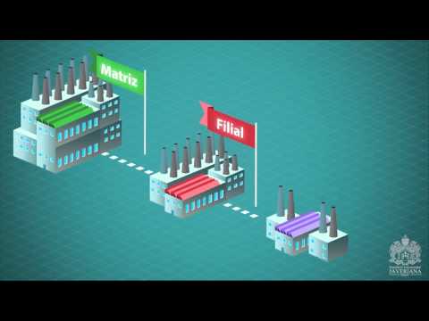 Diferencia entre empresas del grupo: asociadas y vinculadas