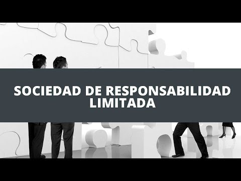 Sociedad de Responsabilidad Limitada: ¡Capital Social Importante!