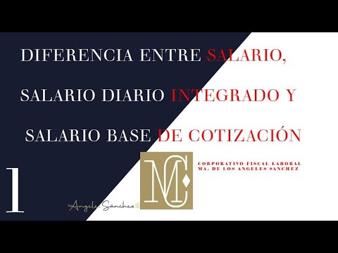 Diferencia entre salario bruto y base de cotización: ¿Qué debes saber?