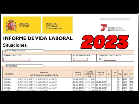 Cómo sacar una vida laboral en el momento