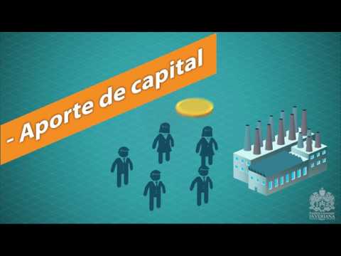 La aportación capital social en una sociedad limitada