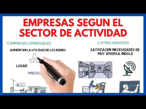 Clasificación de empresas de servicios: una guía imprescindible