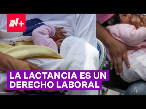 ¿Cuántas horas de lactancia son por ley en España?