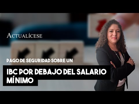 Cuánto se paga a la Seguridad Social por 20 horas semanales?