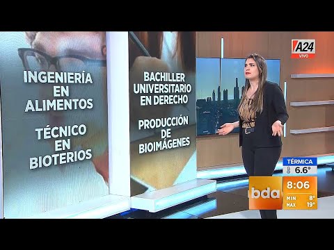 Qué estudiar rápido y con salida laboral