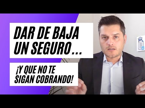 Devolución del dinero al dar de baja un seguro en España