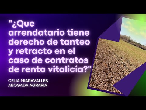 Derechos de tanteo y retracto en la finca arrendada.
