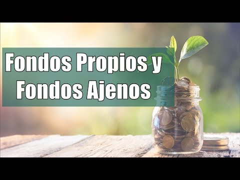 Qué son los fondos propios en el balance financiero