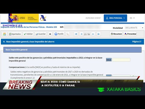 Cuando la renta sale negativa, es a devolver.