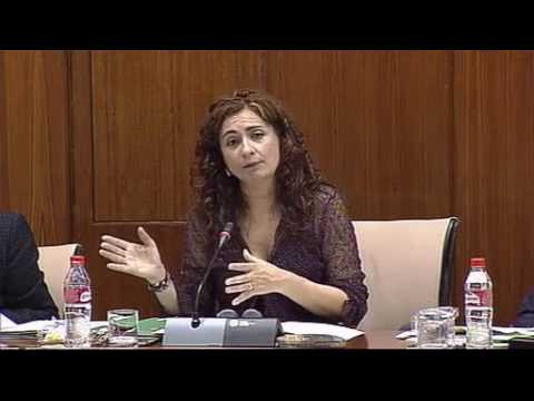 Ejemplos de Fondos Carentes de Personalidad Jurídica en España