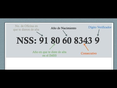¿Cuántos números tiene el número de la Seguridad Social?