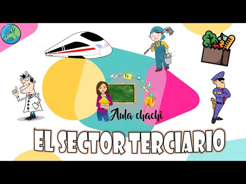 Ejemplo de empresa del sector terciario: Un modelo de éxito