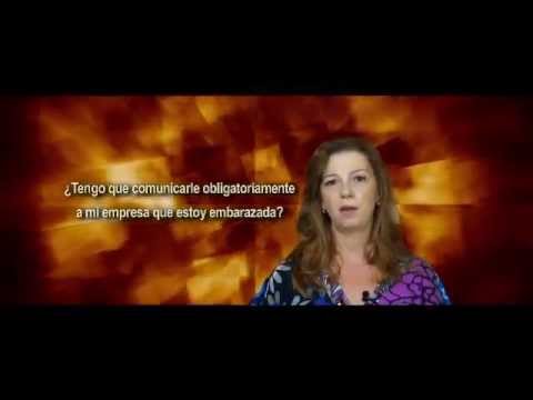 ¿Cuándo debo comunicar a la empresa que estoy embarazada?