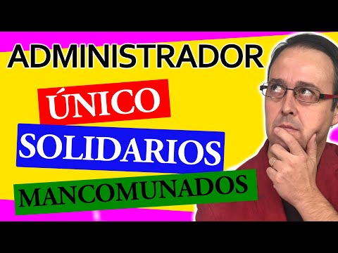 ¿Qué es un apoderado solidario en una SL?